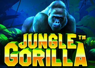 pk24 Jungle Gorilla ทดลองเล่นฟรี
